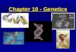 Chapter 10 - Genetics. What is Genetics? The study of heredity The study of heredity Heredity: passing of traits from parent to offspring Heredity: passing