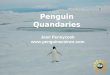 Penguin Quandaries Jean Pennycook 