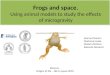 Frogs and space. Using animal models to study the effects of microgravity Joanne Pearson Mariama Issaka Daniel Martínez Edoardo Giovanni Banyuls, Origins