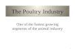 The Poultry Industry One of the fastest growing segments of the animal industry 1