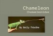 By Emily Thielke. There are many different types of chameleons. By current classification there are more than 160 different species of chameleons in the
