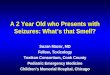 A 2 Year Old who Presents with Seizures: Whats that Smell? Suzan Mazor, MD Fellow, Toxicology Toxikon Consortium, Cook County Pediatric Emergency Medicine
