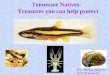 Tennessee Natives- Treasures you can help protect BY: Melissa Sandrene and Jeff Simmons