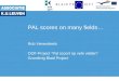 PAL scores on many fields… Rob Vierendeels OOF-Project “Pal scoort op vele velden” Grundtvig Blaid Project