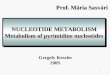 1 NUCLEOTIDE METABOLISM Metabolism of pyrimidine nucleotides NUCLEOTIDE METABOLISM Metabolism of pyrimidine nucleotides Prof. Mária Sasvári Gergely Keszler