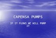 CAPENSA PUMPS IF IT FLOWS WE WILL PUMP IT. COMPANY PROFILE PINE TOWN BASED PUMP SPECIALIST PINE TOWN BASED PUMP SPECIALIST ESTABLISHED IN MARCH 2001 ESTABLISHED
