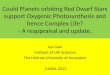 Could Planets orbiting Red Dwarf Stars support Oxygenic Photosynthesis and hence Complex Life? - A reappraisal and update. Joe Gale Institute of Life Sciences