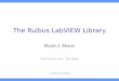 The Rulbus LabVIEW Library Martin J. Moene U n i v e r s i t e i t L e i d e n Last update: 1 December 2004