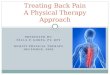 PRESENTED BY: PAULA P. GODES, PT, DPT DEWITT PHYSICAL THERAPY DECEMBER, 2009 Treating Back Pain A Physical Therapy Approach