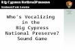 Who’s Vocalizing in the Big Cypress National Preserve? Sound Game