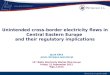 Electricity in good hands Unintended cross-border electricity flows in Central Eastern Europe and their regulatory implications 14 th Baltic Electricity
