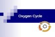Oxygen Cycle. Required for Life All living things use oxygen or depend on organisms that use oxygen in some way