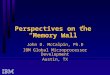 Perspectives on the “Memory Wall” John D. McCalpin, Ph.D IBM Global Microprocessor Development Austin, TX