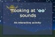Looking at ‘oo’ sounds An interactive activity. My name is Hoot and today we are going to look at words that have ‘oo’ sounds