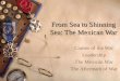 From Sea to Shinning Sea: The Mexican War Causes of the War Leadership The Mexican War The Aftermath of War