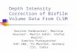 Depth Intensity Correction of Biofilm Volume Data From CLSM Karsten Rodenacker 1, Martina Hausner 2, Martin Kühn 2, Stefan Wuertz 2, Sumitra Purkayastha
