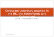 UEVP – November 2009  Corporate veterinary practice in the UK, the Netherlands and Switzerland