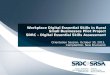 Workplace Digital Essential Skills in Rural Small Businesses Pilot Project SDRC – Digital Essential Skills Assessment Orientation Session, October 30,