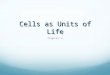 Cells as Units of Life Chapter 3. Cell Theory Cells represent the basic structural and functional unit of life. Important unifying concept in biology