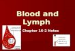 Blood and Lymph Chapter 16-2 Notes. Blood The liquid part of blood is plasma The liquid part of blood is plasma Made mostly of water Made mostly of water
