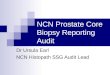 NCN Prostate Core Biopsy Reporting Audit Dr Ursula Earl NCN Histopath SSG Audit Lead