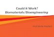 Could it Work? Biomaterials/Bioengineering Prof Sheila MacNeil 1