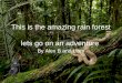 This is the amazing rain forest lets go on an adventure By Alex B and Liam