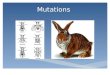 Mutations.  A mutation is a change in the normal DNA sequence.  They are usually neutral, having no effect on the fitness of the organism. General types