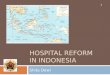 HOSPITAL REFORM IN INDONESIA Shita Dewi 1. Context Background The history of hospital development in Indonesia The growth of health care industry Missionary