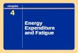 4 Energy Expenditure and Fatigue chapter. Learning Objectives Learn how exercise affects metabolism and how metabolism can be monitored to determine energy