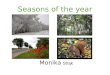 Seasons of the year Monika Strąk. Information about the year There are four seasons in the year. We can see winter, spring, summer and autumn; twelve