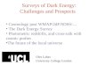 Surveys of Dark Energy: Challenges and Prospects Ofer Lahav University College London Cosmology post WMAP/2dF/SDSS/… The Dark Energy Survey Photometric