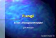 Fungi Level 1 Biological Diversity Jim Provan Campbell: Chapter 31