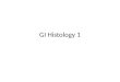 GI Histology 1. Objectives Describe the cells of the GI tract and their function Describe the histological features of each part of the GI tract. Differentiate