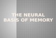 Memories are stored throughout our brains, and linked together through neural pathways.  Different brain areas are involved in different memory types