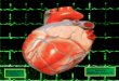 Cardiovascular Nursing Selected Topics PT 1 It’s All About Cardiac Output