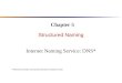Structured Naming Internet Naming Service: DNS* Chapter 5 *referred to slides by David Conrad at nominum.com