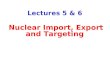 Lectures 5 & 6 Nuclear Import, Export and Targeting
