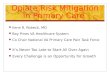Opiate Risk Mitigation in Primary Care Ilene R. Robeck, MD Bay Pines VA Healthcare System Co Chair National VA Primary Care Pain Task Force It’s Never