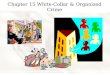 Chapter 15 White-Collar & Organized Crime. Chapter Summary Chapter Fifteen is an overview of white-collar, corporate, and organized crimes. The Chapter