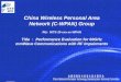 China Wireless Personal Area Network (C-WPAN) Group No : NITS-10-xxx-xx-WPAN Title ： Performance Evaluation for 60GHz mmWave Communications with RF Impairments