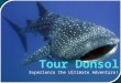 Experience the Ultimate Adventure!. What is Donsol? Until the 'discovery' of whale sharks off the coast here in 1998, Donsol, was an obscure, sleepy fishing