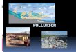 Types of Pollution  Nitrogen (wastewater, farming)  Pharmaceuticals  Garbage  Heavy metals (Hg, Zn, Pb, Fe)  Chemicals (PCB’s, industrial waste)