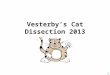 Vesterby’s Cat Dissection 2013 Introduction (read this first) Welcome to cat dissection 2010! Each day will begin with logging on to your computer, putting
