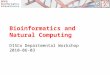 Bioinformatics and Natural Computing DISCo Departmental Workshop 2010-06-03
