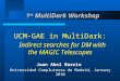 1 st MultiDark Workshop UCM-GAE in MultiDark: Indirect searches for DM with the MAGIC Telescopes Juan Abel Barrio Universidad Complutense de Madrid, January