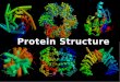 From: Protein Data Bank PDB ID: 1B0E Kalus, W., Zweckstetter, M., Renner, C., Sanchez, Y., Georgescu, J., Grol, M., Demuth, D., Schumacher, R., Dony, C.,