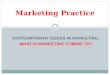 CONTEMPORARY ISSUES IN MARKETING: WHAT IS MARKETING COMING TO? Marketing Practice
