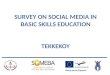 SURVEY ON SOCIAL MEDIA IN BASIC SKILLS EDUCATION TEKKEKOY