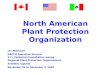 North American Plant Protection Organization Ian McDonell NAPPO Executive Director 21 st. Technical Consultation among Regional Plant Protection Organizations